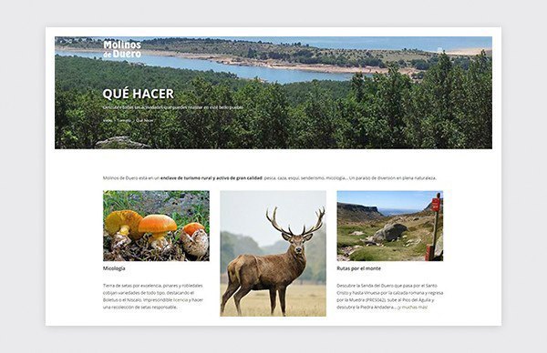 Page quoi faire du site de la mairie de Molinos de Duero (Soria).