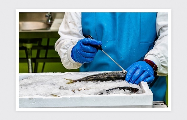 Sesión fotográfica taller de pescadería Cruz Roja Española