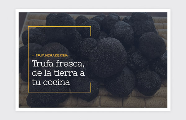 Página web de Oro Negro de Soria 1