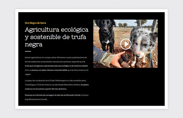 Site web d'Oro Negro de Soria 2