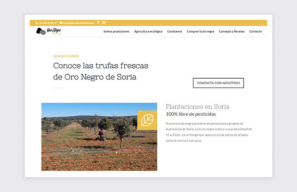 Página web de Oro Negro de Soria 3